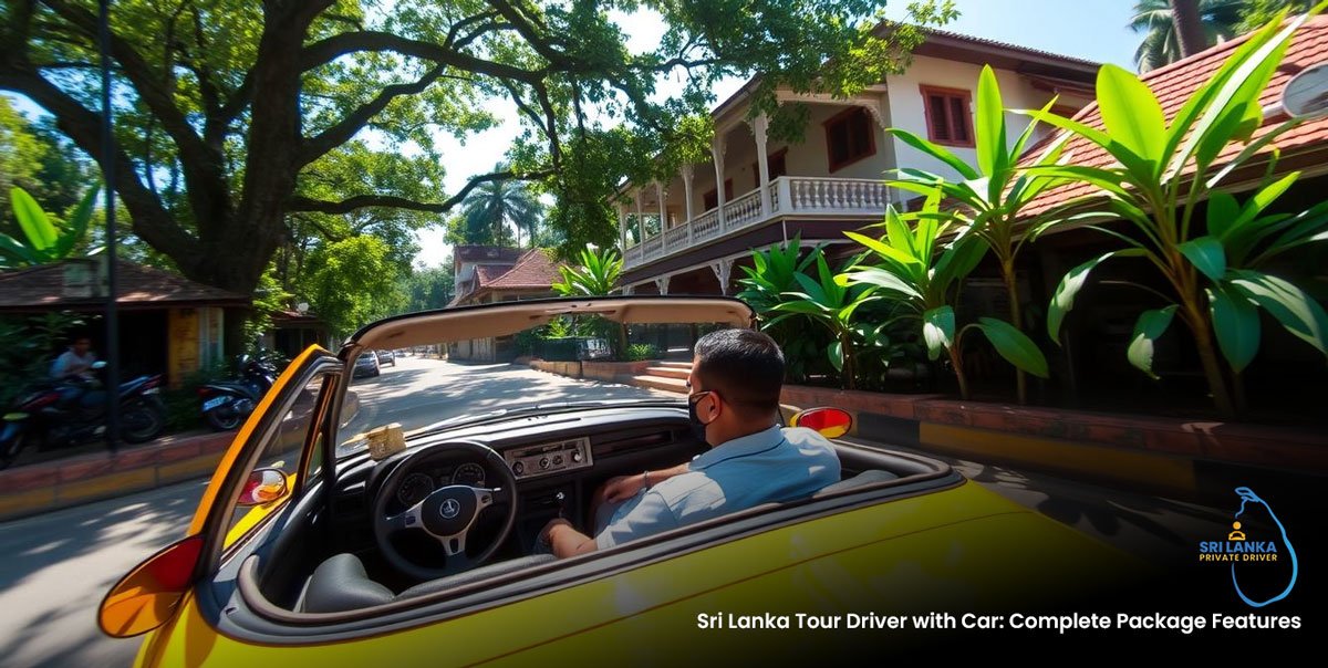 Private Driver with Car for Sri Lanka Tours - Local Expertise at Your ...