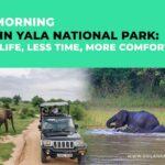 Morning Safari in Yala National Park