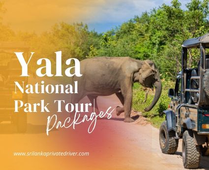 yala national park safari tours