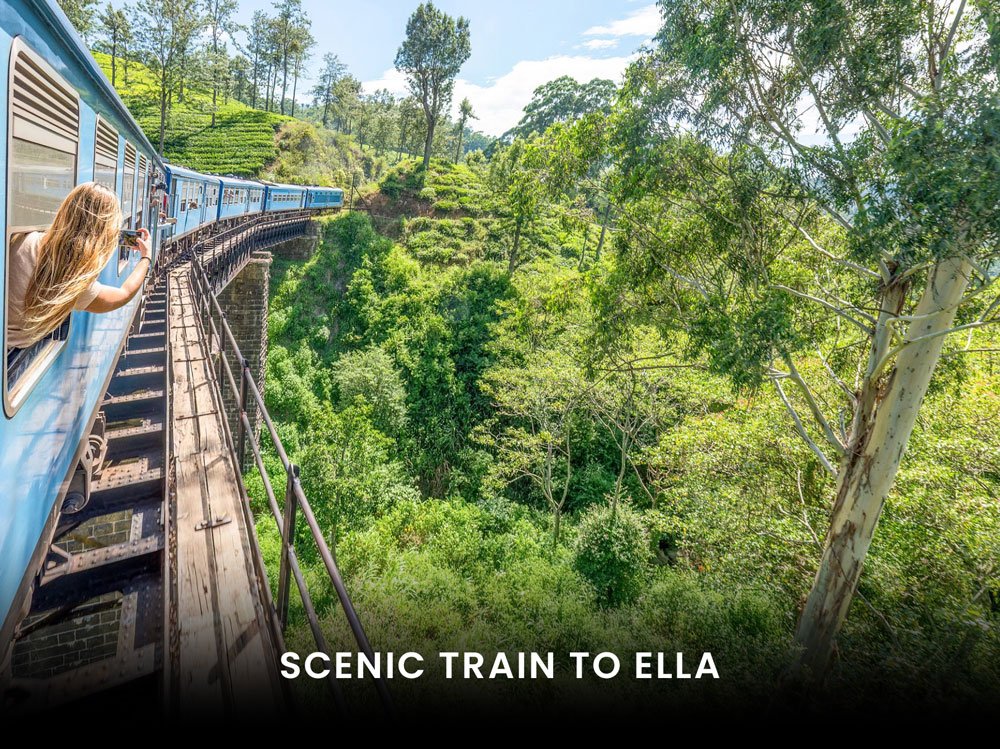Scenic Train to Ella - Group Tour in Sri Lanka
